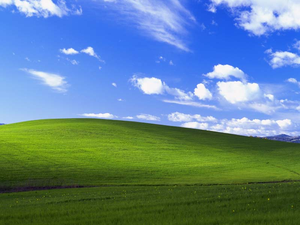 windowsxp