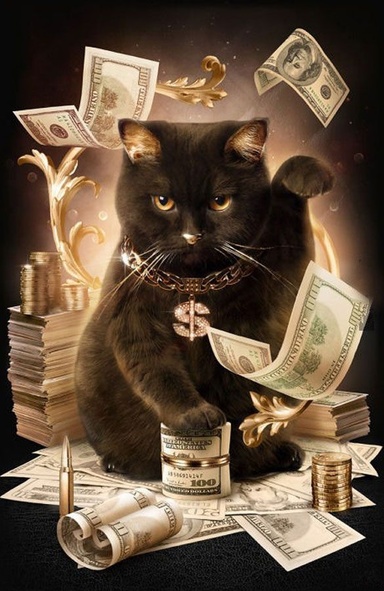 blackcashcat