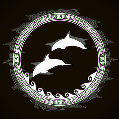 black_dolphin_007