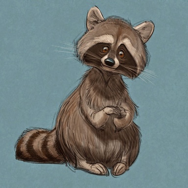 Racoon